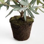Product Image 4 for Olive Tree Drop-In from Napa Home And Garden