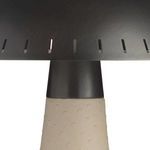 Product Image 3 for Struzzo Accent Lamp from Arteriors
