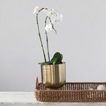 Product Image 7 for Natural Woven Palm Tray from Creative Co-Op