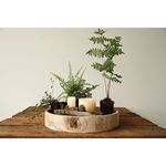 Product Image 2 for Alma Wood Paulownia Tray from Creative Co-Op