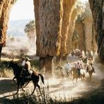 Product Image 13 for Palm Springs Riders By Slim Aarons from Four Hands