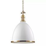 Product Image 1 for Viceroy 1 Light Large Pendant from Hudson Valley