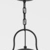 Product Image 4 for Napa County 4 Light Large Exterior Pendant from Troy Lighting