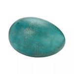 Product Image 1 for Small Dino Egg from Elk Home