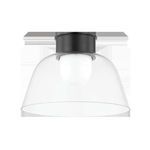 Lakeside Flush Mount ceiling light isolated on white background with clear glass bowl and dark metal canopy