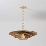 Product Image 3 for Levan Pendant from Troy Lighting