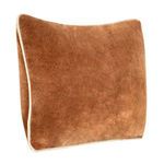 Angled view highlighting pillow’s plush velvet texture and beige piped trim