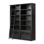 Product Image 12 for Admont Worn Black Veneer Traditional Double Bookcase with Ladder from Four Hands
