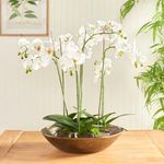 Product Image 2 for Myron Decorative Bowl from Napa Home And Garden