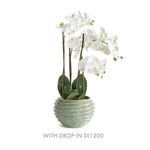 Product Image 7 for Avani Pot from Napa Home And Garden
