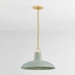 Pendant shown hanging from a ceiling with gold canopy, viewed slightly from above