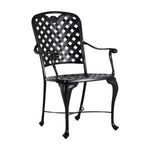 Close-up showing armrest curl detail and cushion strap on outdoor chair