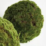 Product Image 4 for Moss Orbs, Set of 2 from Napa Home And Garden