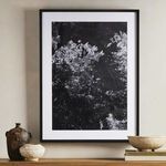 Product Image 10 for Tree Gaze I By Coup D'esprit from Four Hands