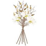 Product Image 4 for Star Magnolia Stems , Set Of 6 from Napa Home And Garden