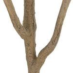 Product Image 3 for Faux Eucalyptus Tree from Four Hands