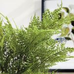 Product Image 9 for Plumosa Fern Drop-In 21" from Napa Home And Garden