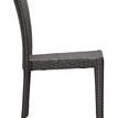 Product Image 1 for Arica Dining Chair from Zuo