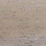 Close-up sample of light gray wood grain finish with small scattered dark spots