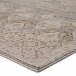 Close-up of woven texture and metallic gold accents on the Hakeem Oriental Gray/ Gold Rug