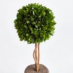 Product Image 2 for Boxwood Single Sphere Topiary Drop-In from Napa Home And Garden