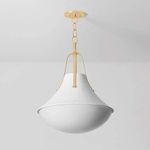 Coventry Pendant lit from below with soft warm glow on opal glass shade
