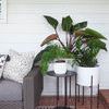 Small white planter styled outdoors on brick patio next to grey woven sofa and black round side table with plants