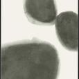 Abstract painting with three large, soft-edged moss-green pebble shapes on a light background
