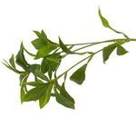 Product Image 5 for Faux Pieris Tree from Four Hands