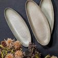 Product Image 4 for Long oval tray Mame Oyster from BIDKHome