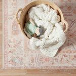 Top view of knit blanket and doll inside a basket on the Avin rug displaying intricate blush and blue pattern