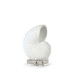 Product Image 1 for Small Nautilus Shell from Regina Andrew Design