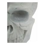 Product Image 3 for Braincase Skull Statue White from Moe's