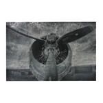 Product Image 1 for Alton World War Ii Airplane Print Etched Print On Aluminum from Elk Home