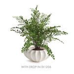 Product Image 6 for Blecklyn Bowl from Napa Home And Garden