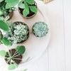 Product Image 6 for Wicker Plant Baskets, Set of 6 from etúHOME