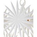 Close-up on radial palm frond design detail with a lit bulb peeking from behind a frond