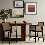 Product Image 15 for Antonia Brushed Ebony Cane Counter Stool from Four Hands