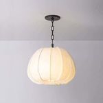 Product Image 2 for Bayu Pendant from Troy Lighting