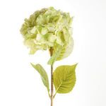 Product Image 2 for Mophead Hydrangea Stems , Set Of 4 from Napa Home And Garden