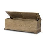 Product Image 9 for Quintin Trunk from Four Hands