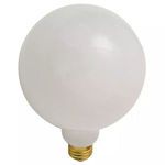 Product Image 1 for G80 25w E26 Light Bulb from Nuevo
