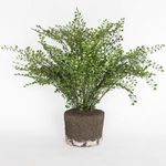 Product Image 4 for Maiden Hair Fern Drop-In 23" from Napa Home And Garden