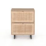 Product Image 9 for Carmel Filing Cabinet Natural Mango from Four Hands