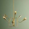 Anaise chandelier shown hanging in front of a muted green wall, illuminated and viewed from a slight side angle