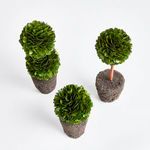 Product Image 4 for Boxwood Topiary Drop-Ins, Set Of 3 from Napa Home And Garden