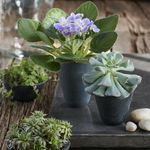 Product Image 1 for Maya Stone Pot from Texxture