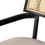 Product Image 21 for Britt Brushed Ebony Cane Dining Armchair from Four Hands