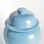 Product Image 4 for Koa Wide Lidded Ginger Jar from Napa Home And Garden