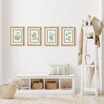 Product Image 3 for White Floral Study, Set Of 4 from Napa Home And Garden